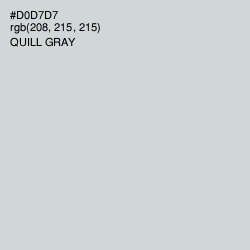 #D0D7D7 - Quill Gray Color Image